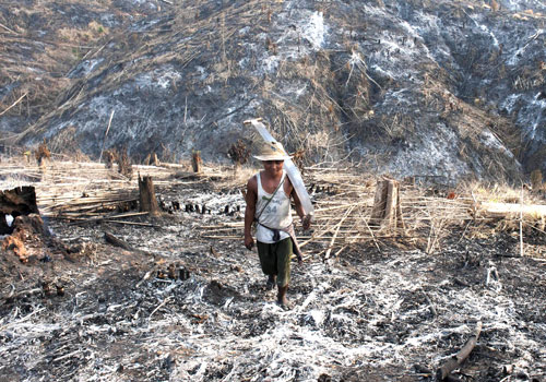 Myanmar third-worst for deforestation rate, says UN - Open Development  Mekong