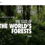 The State of the World’s Forests 2020